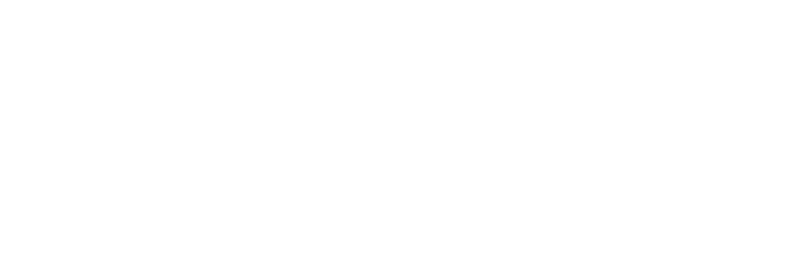 Parti Socialiste